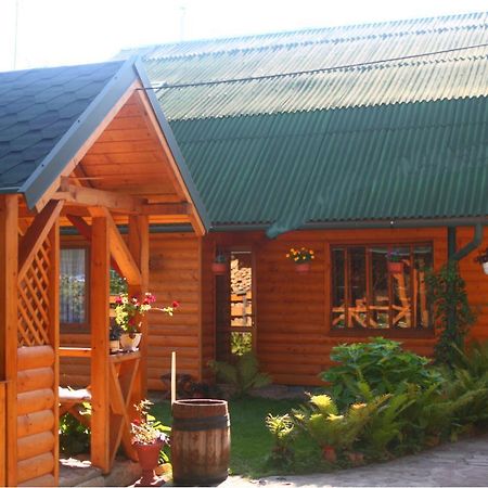 Friendly House Daire Kolomiya Dış mekan fotoğraf
