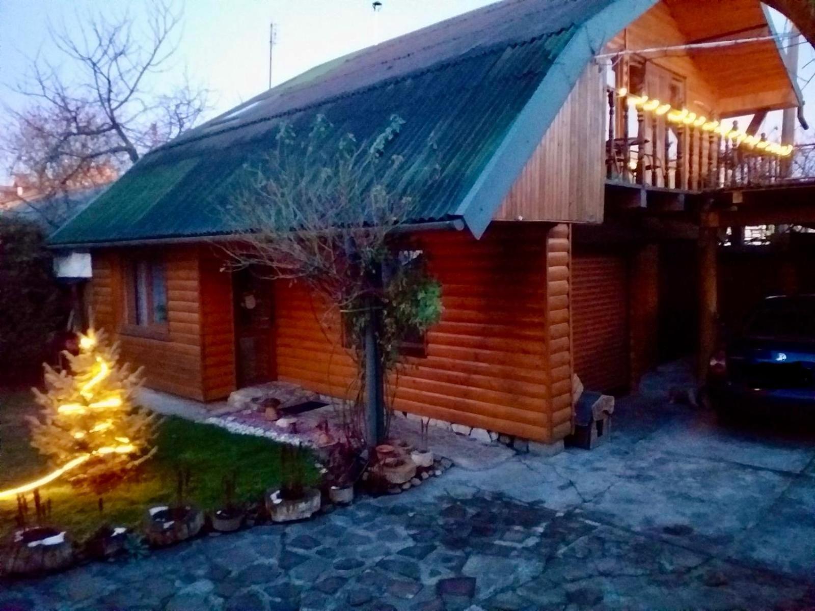 Friendly House Daire Kolomiya Dış mekan fotoğraf